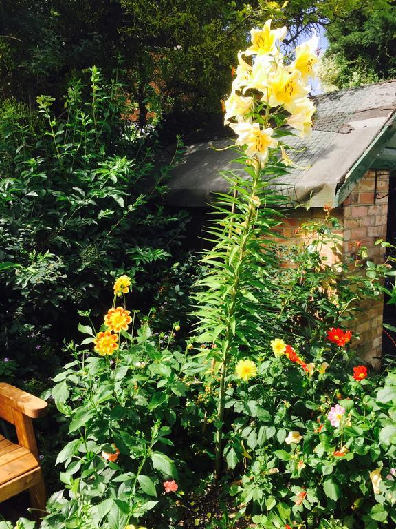 Fairlight Lodge King's Lynn Ngoại thất bức ảnh